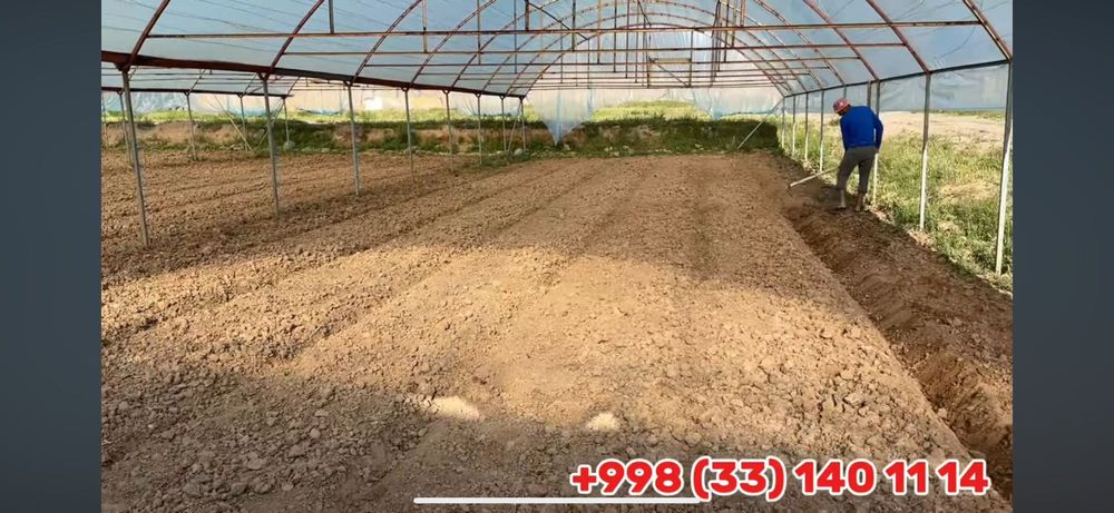 Mol bozori va qoshimcha ferma va tovuqxonalar bir joyda sotiladi.