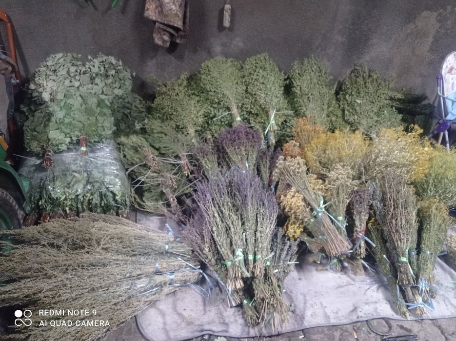 Продам веники и лечебные травы