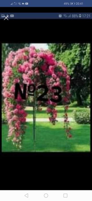 За всеки по нещо