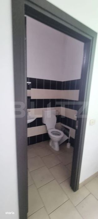 Spatiu comercial, 1000 mp, zona Ludus