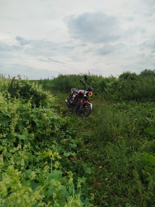 Альфа AL48N3 110