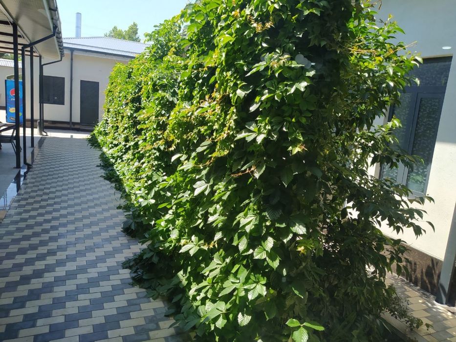 Kafe sotiladi, navoiy shahar