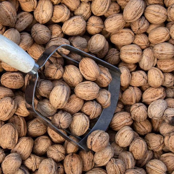 Орехи ,, реколта 2025 "