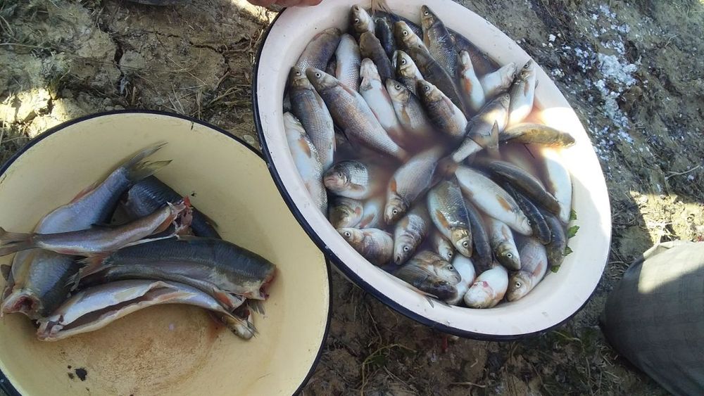 Qibraydan luks pirimum suv buyidan joy sotiladi. кибрай люкс примум