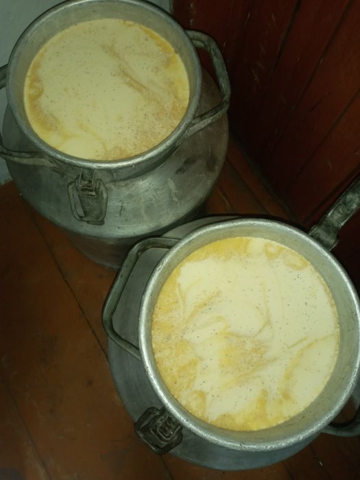 Продам мёд оптом