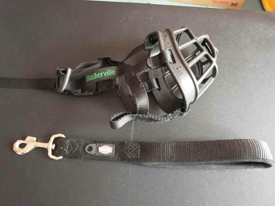 Centura auto marime mica/medie