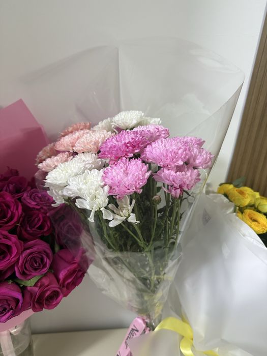 продам цветы свежие