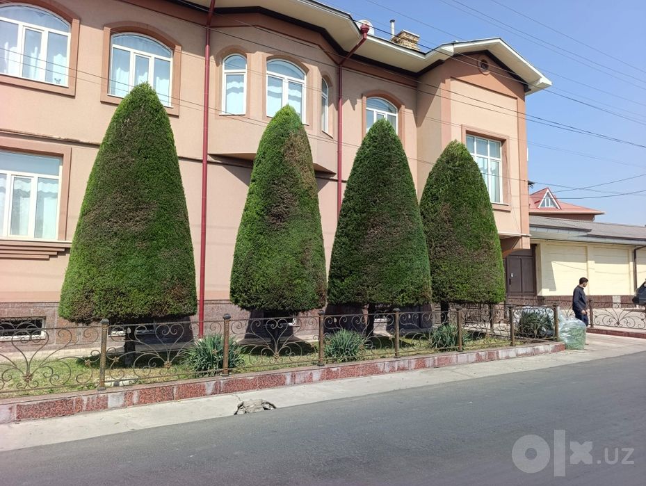 Арча  Archa kesish va dorilash xizmati