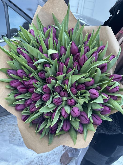 Голландские тюльпаны