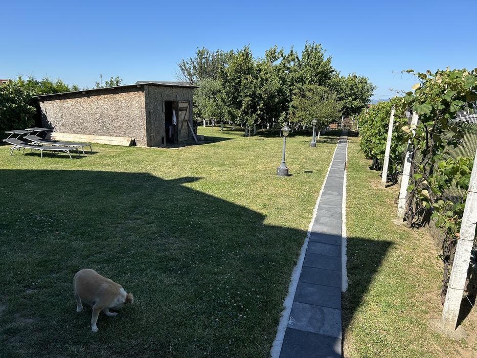 Casa Magura Teren 1550 mp