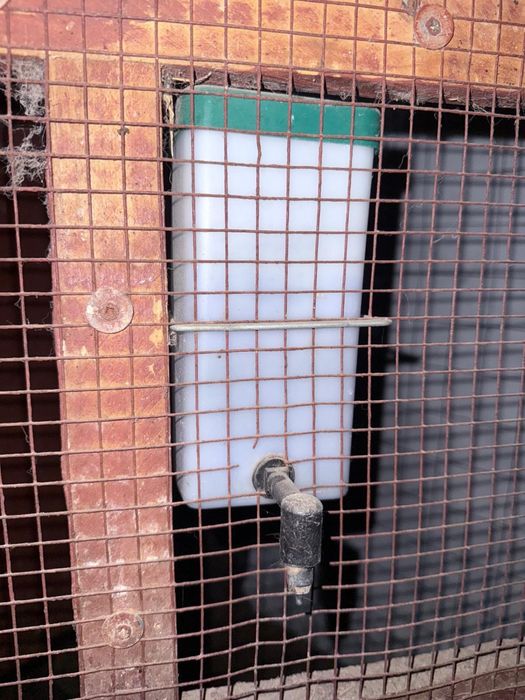 Adapatori Apa Iepuri