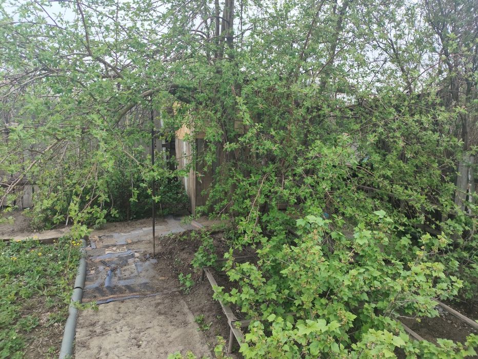 Продам дачу текстильщик 1.