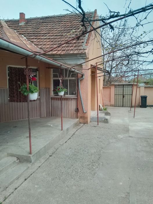 Casă de vânzare macea