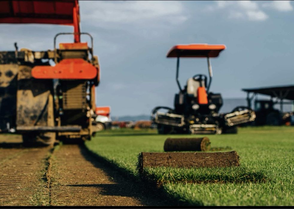 Gazon rulou si sisteme de irigatii