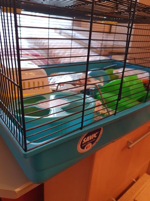 Cușcă pentru hamsteri cu accesorii