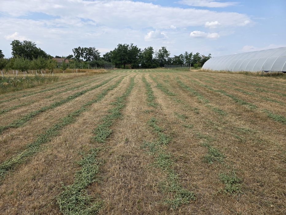 Teren intravilan central Sânnicolau Roman