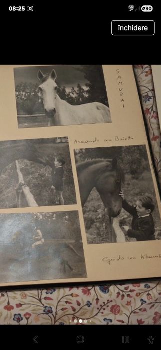 Album foto original