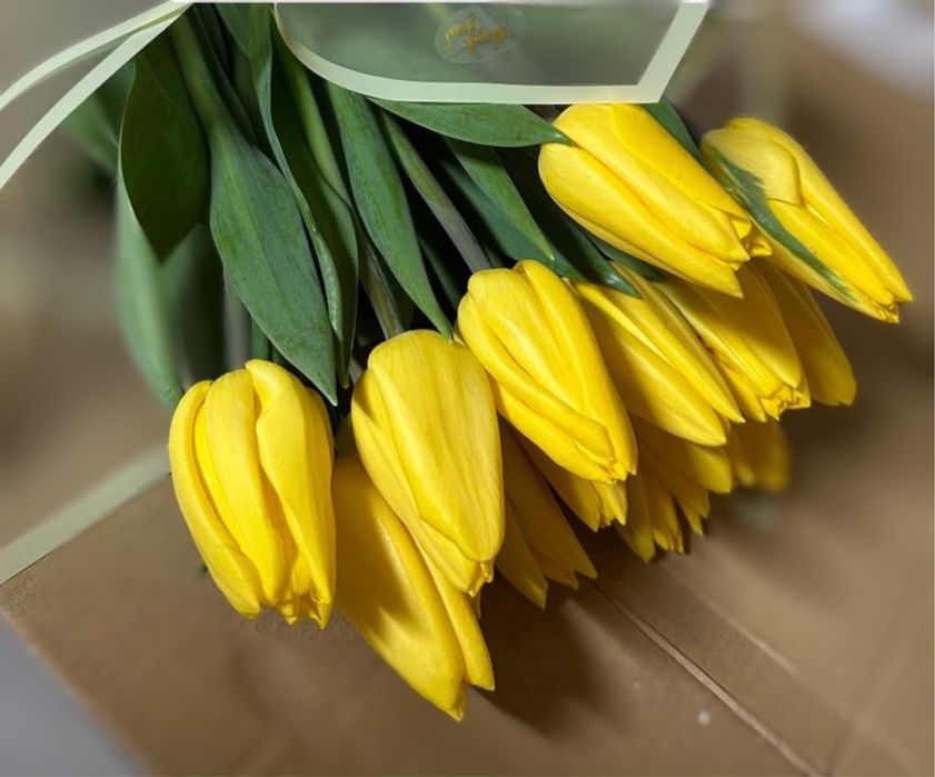 Тюльпаны премиум класса к 8 марта