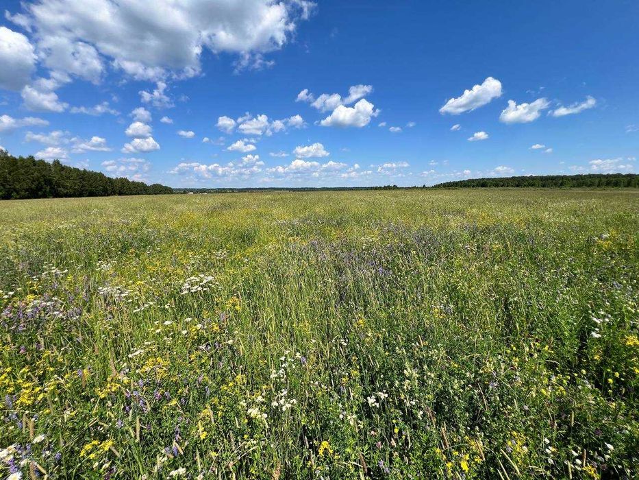 #Продажбанаакции #акционернодружество #създавамеферма #съкооператори