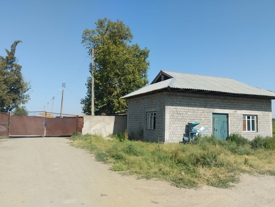 Chorva yoki boshqa biznes qilish uchun yaxshi joy