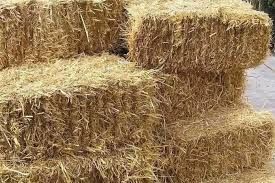 Продам сено в тюках и в рулонах