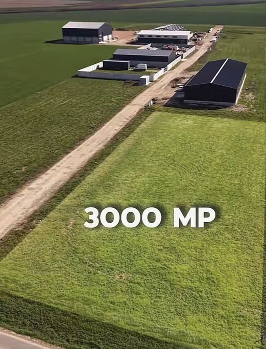 Teren de vânzare 3.002 mp Livada de Bihor zonă investiție