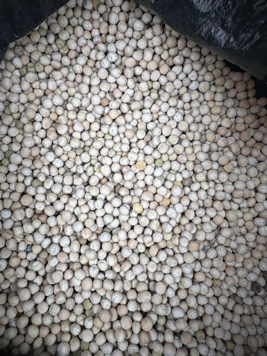 Продам горох, хорошего качества