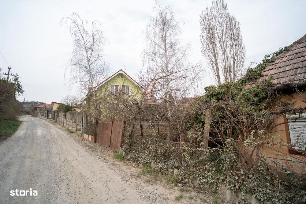 Teren intravilan de 900 mp, Podgoria