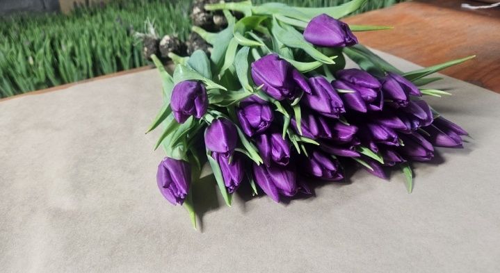 Тюльпаны оптом и розницу