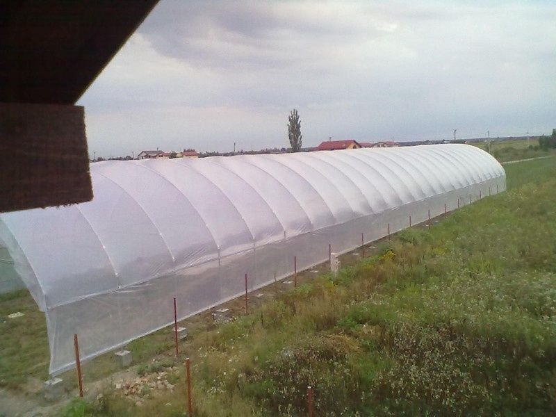 Solarii ieftine profesionale