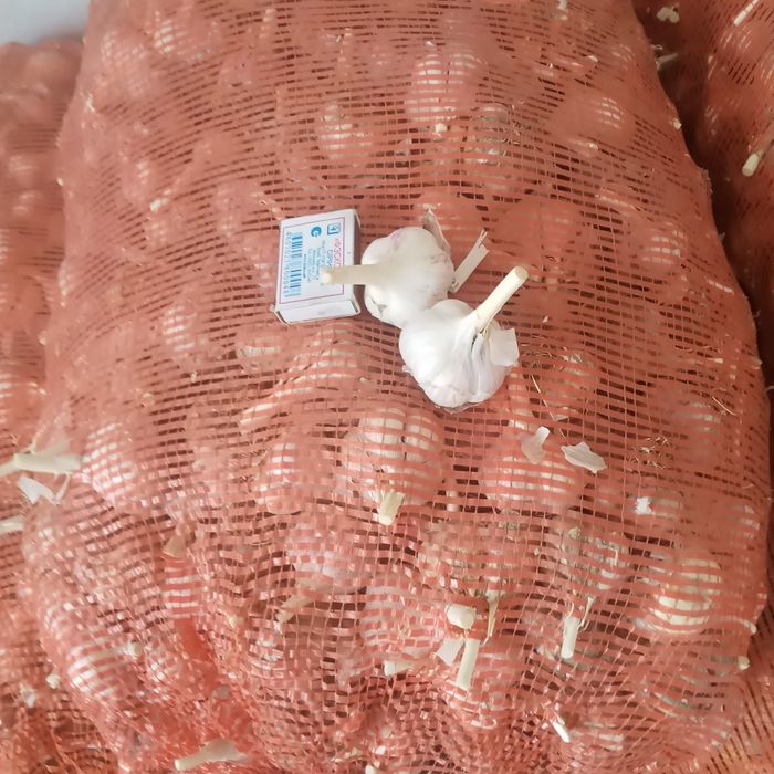 Продам домашний чеснок