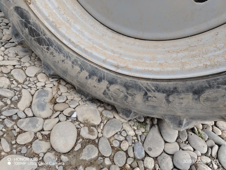 Belshina 15.5 R 38 balon sotiladi