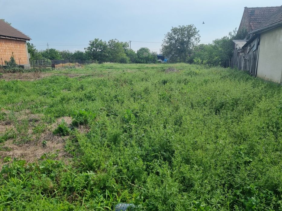 Vând teren intravilan