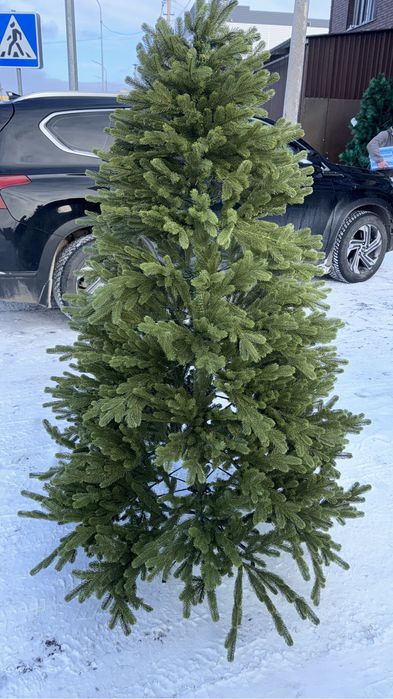 Елки новогодние новый