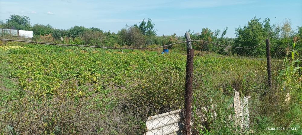 Дачный участок с/о "Железобетонщик"