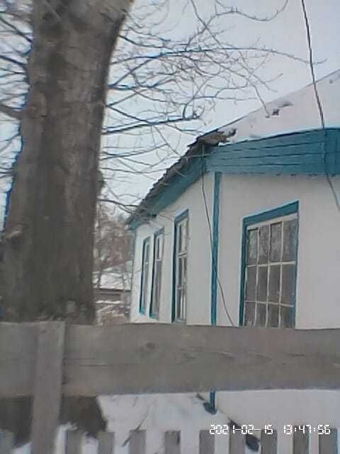 Продам дом в Пригородном