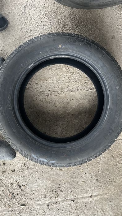 Қысқы донғалақтар. Зимный балон