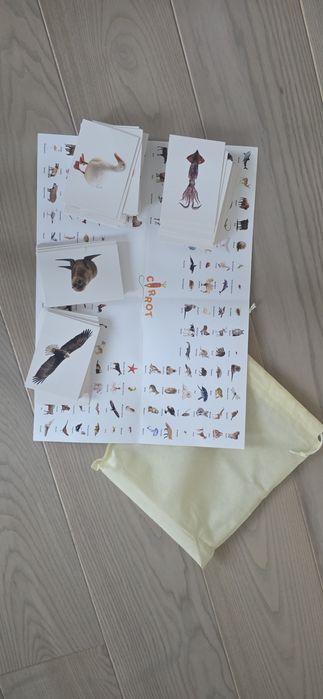 Карти Carrot плодове и зеленчуци, професии, животни