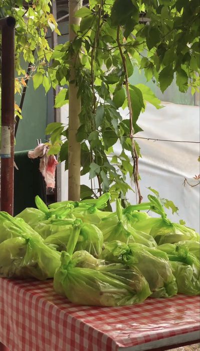 Aqiqa va qurbonlik uchun 25–50 kg qo‘ylar mavjud!