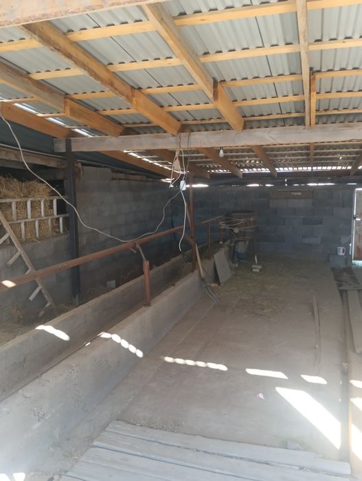 Ореке арты гор газ