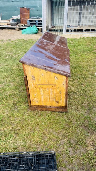 Custi ieppuri 200 bucata