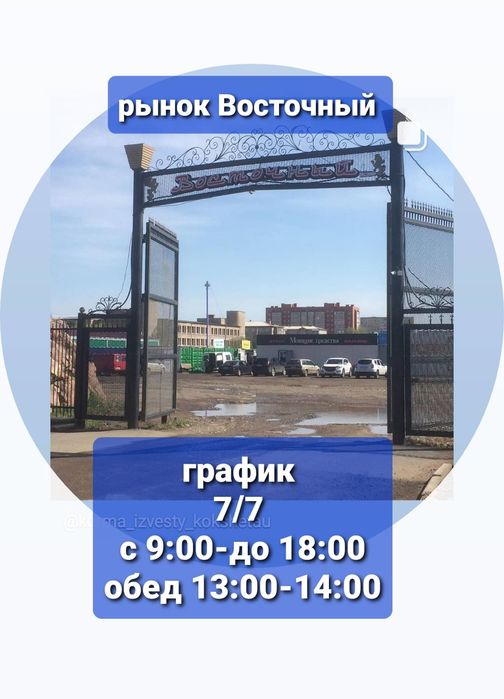 Зцм для животных