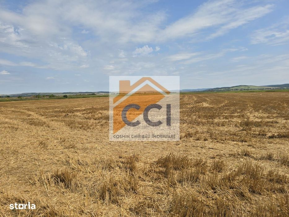 Teren intravilan– 50.000 mp, Bacău, Șoseaua Hol