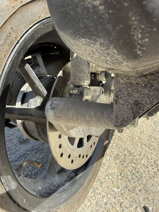 Продается мопец Алмотор