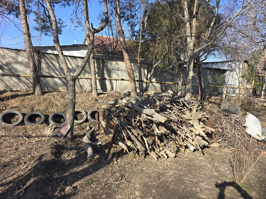 Один отин утин  дрова otin Odin drova