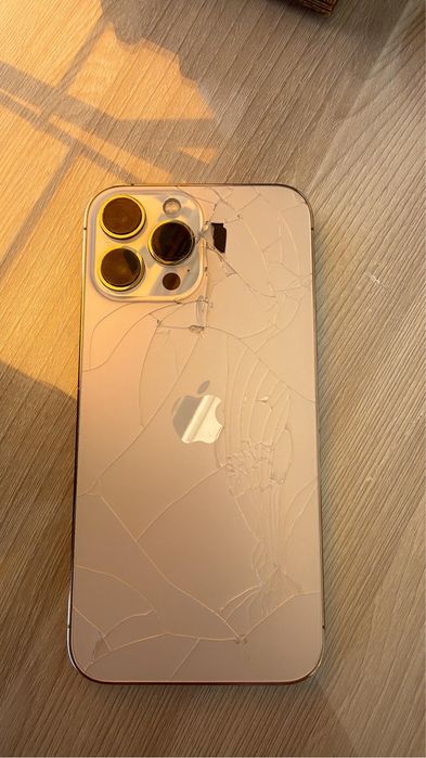 iPhone 13 Pro Max