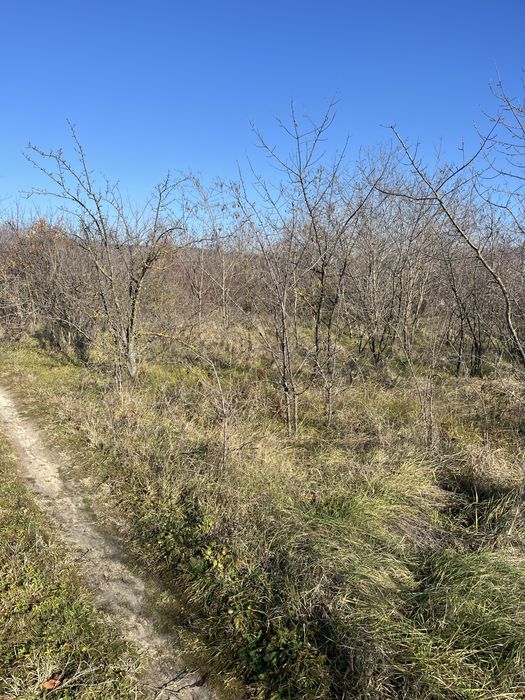 Продава се Парцел в Варна, Базар Левски - 1763 кв.м за 60 €/кв.м - Снимка #5