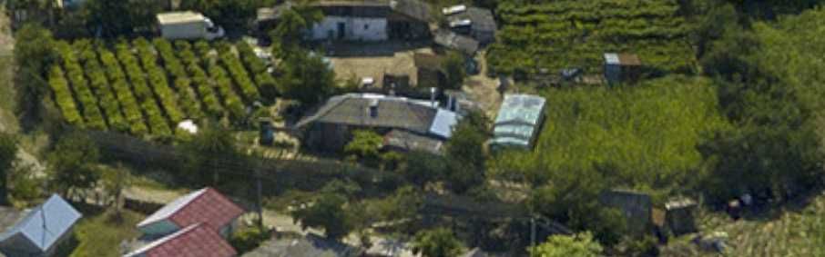 Casă cu anexă și teren în Nifon 2500 m2