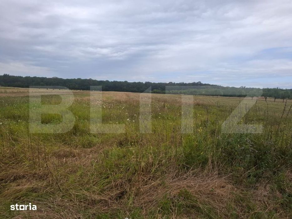 Teren de vanzare – Suta Olteni, 2.500 mp