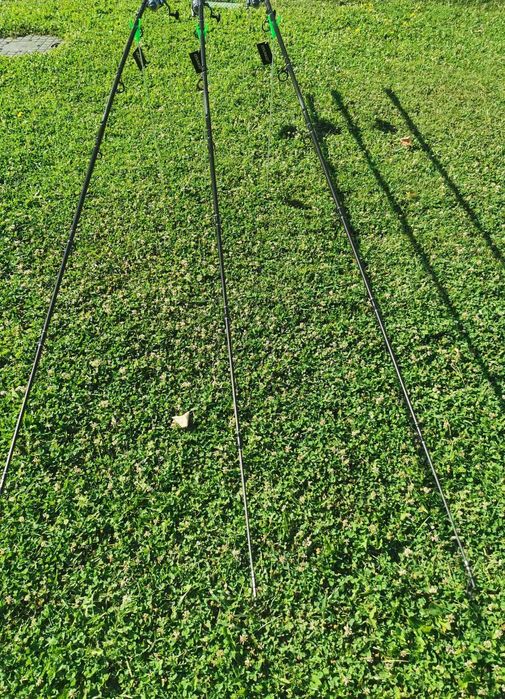 Три шарански въдици + три макари с байтрънер и влакна . НОВИ !!!